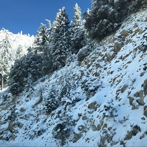 Meet your Posher, Anne